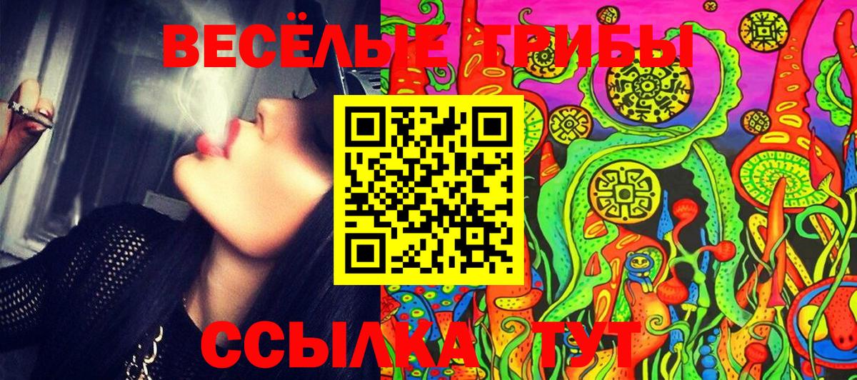 Псилоцибиновые грибы MAGIC MUSHROOMS Красноуфимск